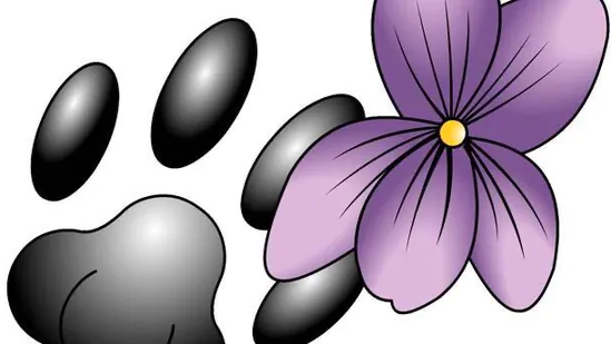 Violetta’s Nails & Beauty